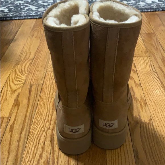 Ugg’s - Picture 4 of 5